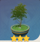 绿植盆栽-「松青尺树上」